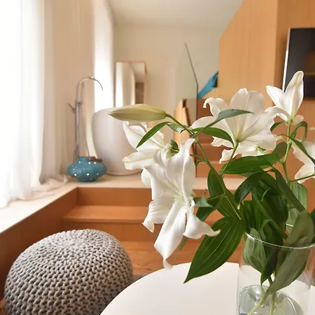 The Bridge Luxury Appartement